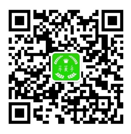 微信WeChat-Google Play版-牛麦子