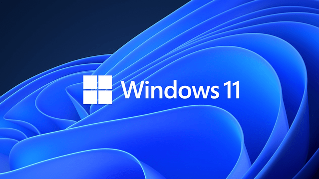 图片[1]-Windows 11 v21H2 Build 22000.795 RTM-牛麦子