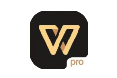 WPS Office Pro-专业版-牛麦子